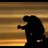montytaz's profile image