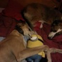 Jack Bedford - @jackbedford24 - Twitter