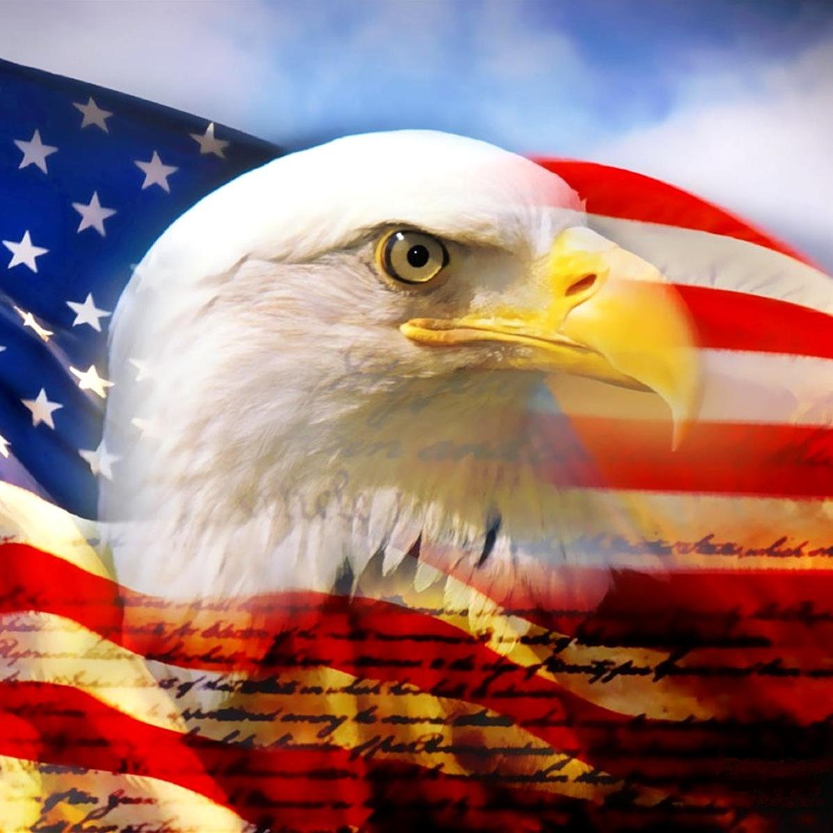 doug_rginc's profile picture. 