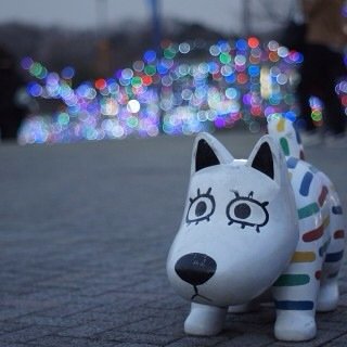 舞台俳優アカウント。鍵を開けたり閉めたりします。鯛ちゃんにかかる重力を減らすため、日々活動中です。◾︎詳しくはツイプロまで