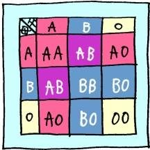 絶対当たる血液型診断 結婚願望の強さランキング １位 A型 責任感が強く 肉体関係を持ったら結婚を考える ２位 O型 情熱のまま結婚に突っ走る ただ冷めるとあっさり振るかも ３位 Ab型 結婚にあまり夢がないが 割と簡単に結婚を決意 ４位