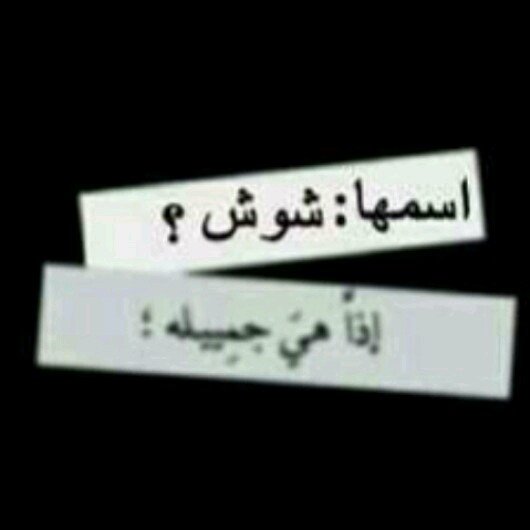 اْمِيٌ حَيٍّــНΆYΆTЧـآَتٍـيُ