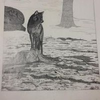 Joshua Herold (@heroldjh) 's Twitter Profile