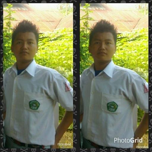 Folback sanak