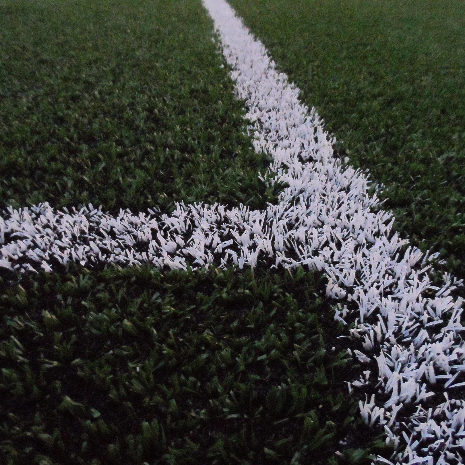 Specialists in the installation and maintenance of 3G Rugby Pitches throughout the UK http://t.co/rluie3u82i