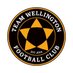 Team Wellington (@teamwelly) Twitter profile photo