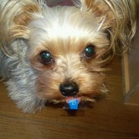 marvel (@marvel4004) Twitter profile photo