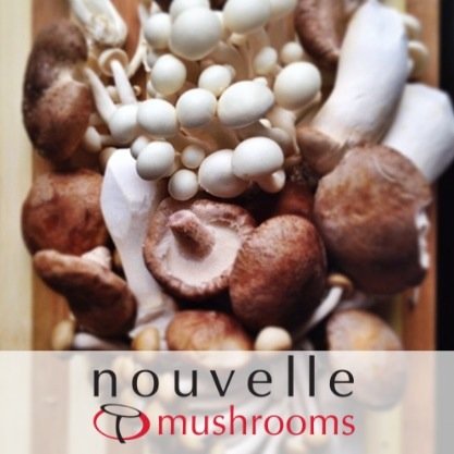 South Africa’s only large scale producer of exotic mushrooms, including fresh mushrooms, dried mushrooms and truffle oil