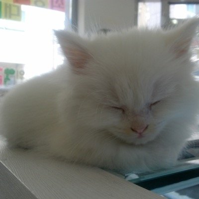 kayi6006's profile picture. 모바일 사업중. . . .