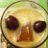ebierbauer's profile image