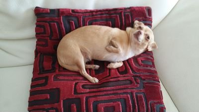 forma3d's profile picture. 