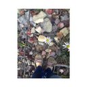 lexie hill - @lexiehill_ - Twitter