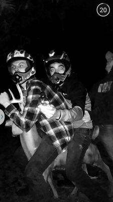 daltommkay's profile picture. risk it for the biscuit