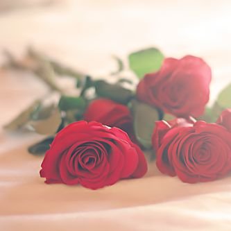 ‏صدقه جارية ل جميع أموات المسلمين