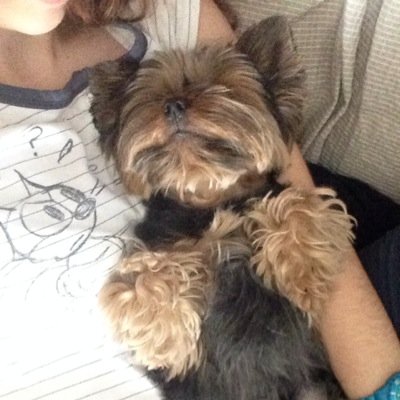 TaniaGG26's profile picture. 