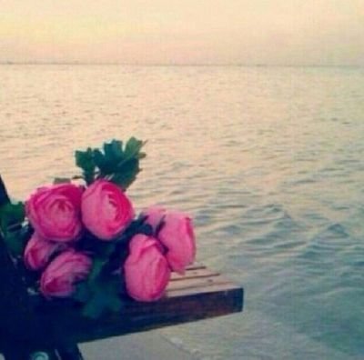 ‏﴿ وهو معكم أينمَا كُنتم ﴾ ؛
  يا طمأنينة القلب يا صدق اليقين .