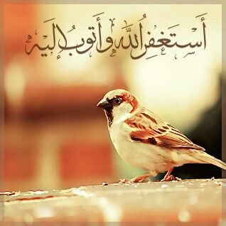 سبحان الله وبحمده عدد خلقه ورضا نفسه ومداد كلماته سبحان الله وبمحده سبحان الله العضيم    اللهم صلي وسلم علا سيدنا محمد وعلا اله وصحبه وسلم تسليما كثيرا.....