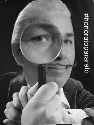 estultisimo's profile picture. 