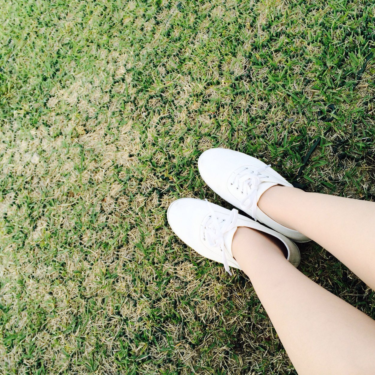 mu_chans's profile picture. 