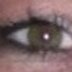 ⭐️Isabella de Wit⭐️ (@1968isabella) Twitter