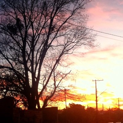 mayarinhabongi1's profile picture. 