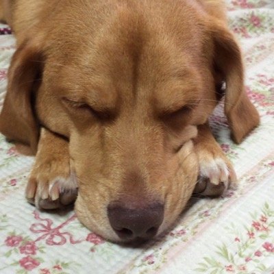 こんにちは、笑顔大切にしたいですね(^o^)/