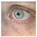 Maud Largeaud (@maud_l) Twitter profile photo Maud Largeaud (@maud_l) Twitter profile photo