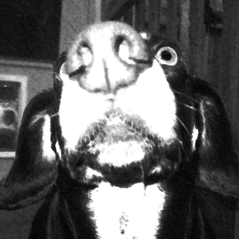 SBNewsHound's profile picture. Sniffing around for the latest scoop