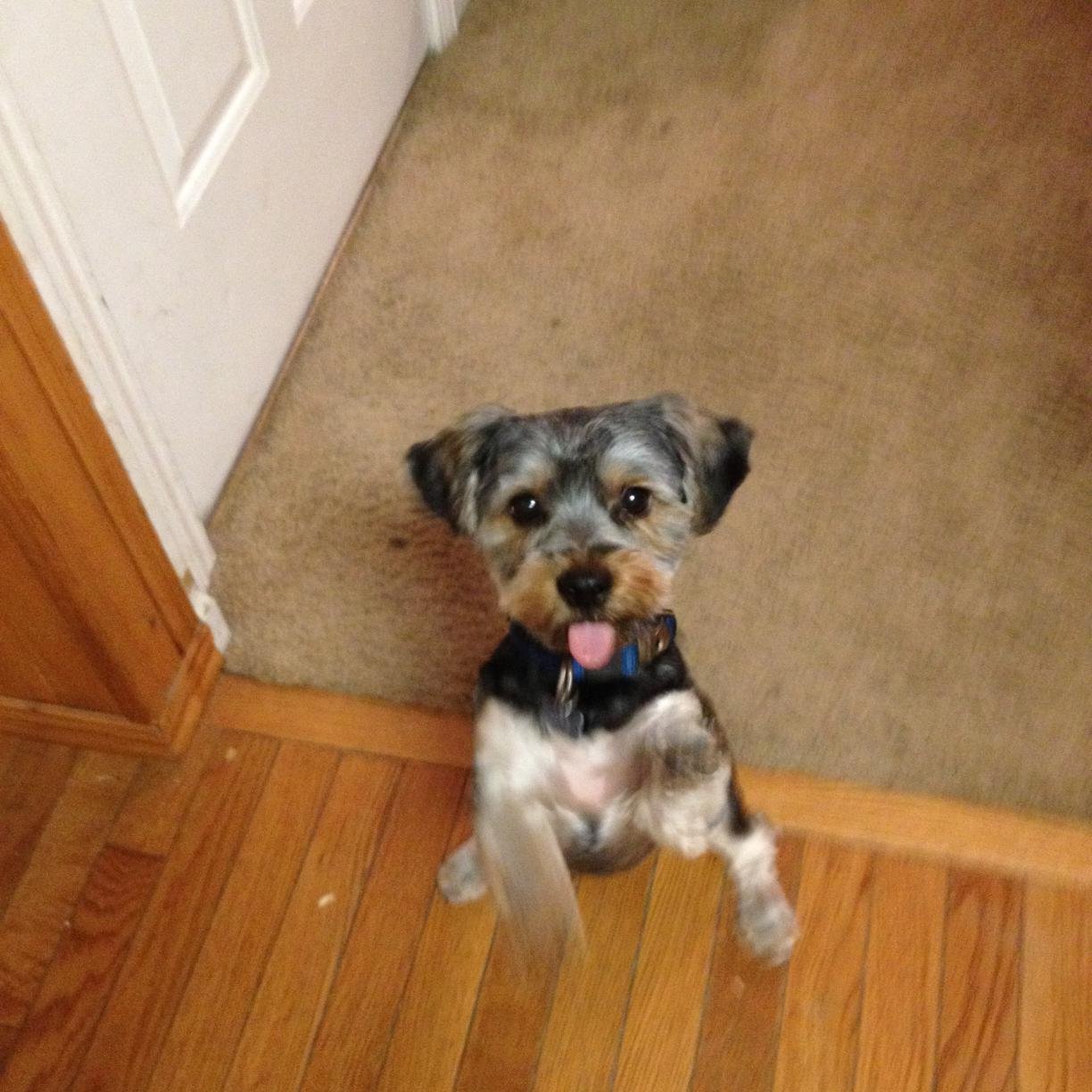 schencket's profile picture. 