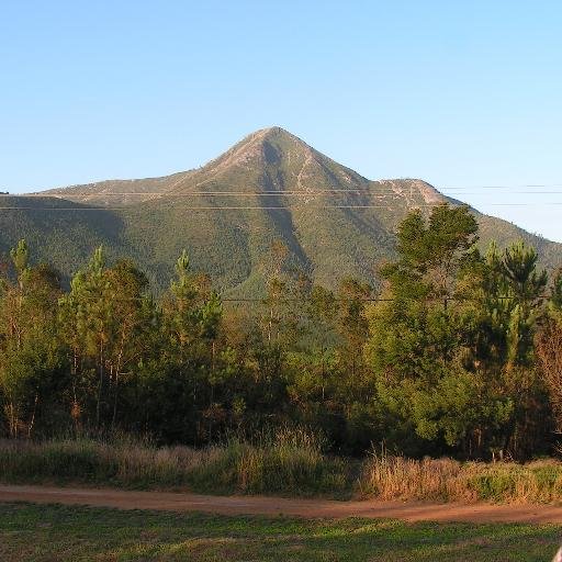 Accommodation at the edge of the #Tsitsikamma forest, exceptional setting, quiet, safe, in the centre of nature. #S/C sleeps 4.  #Camping sites available too.