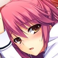 アクセラさんのプロフィール画像