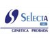 Selecta (@_jp_barreto) Twitter profile photo