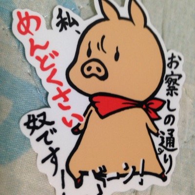 仮面ライダー。ポケモン。ONE PIECE