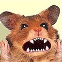 Steven Carnley - @CarnleySteven - Twitter