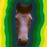 EurovisionApocalypse (@escapocalypse) 's Twitter Profile