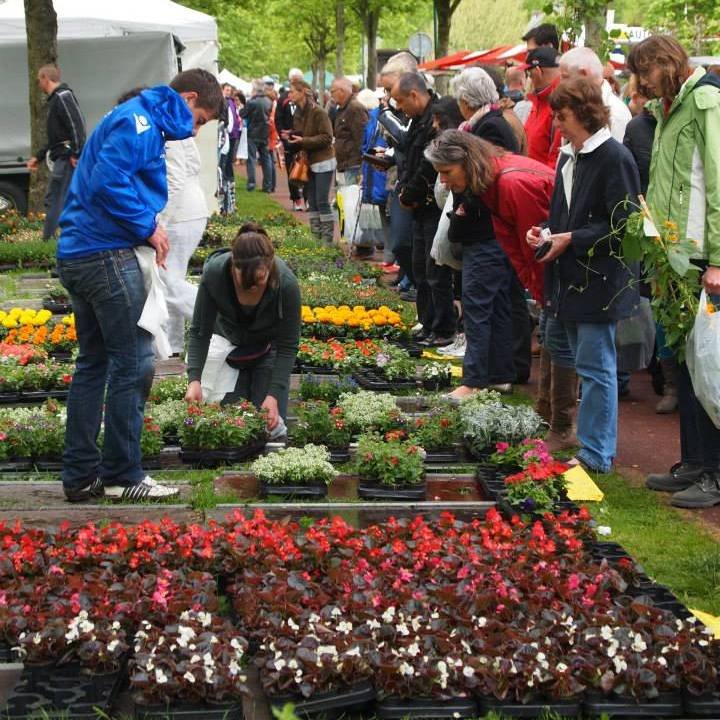 Dekker Evenementen organiseert al vele jaren met succes vlooienmarkten, beurzen en braderieën. Wilt u komen kijken of deelnemen?  Check dan regelmatig deze pagi