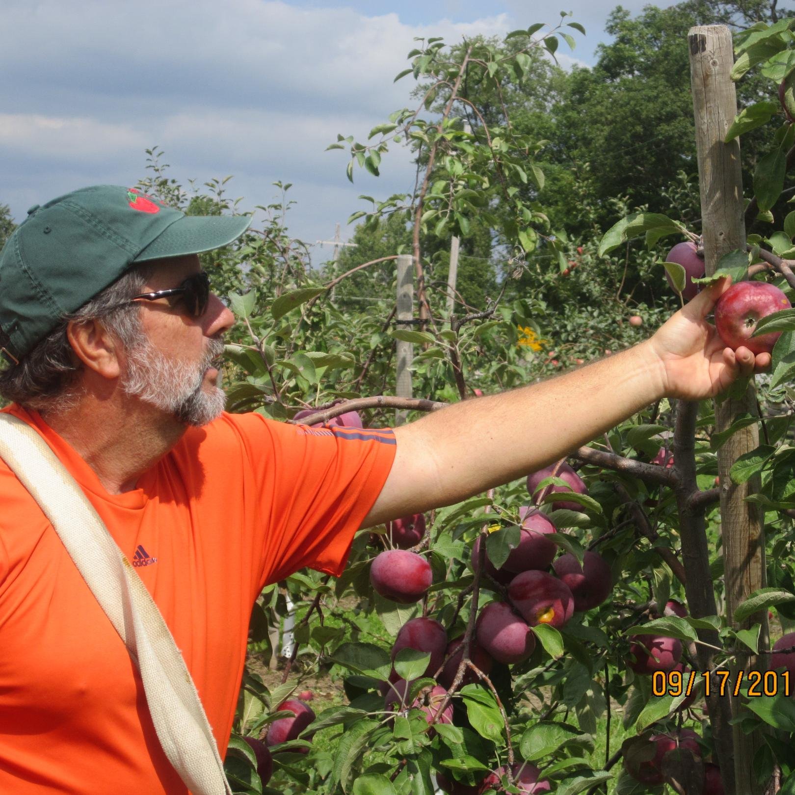 We are Apple of His Eye Orchard from Anderson IN. So come visit or give us a call at (765) 378-6265 to see if we have what you are looking for.