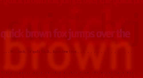 paratype's profile picture. 