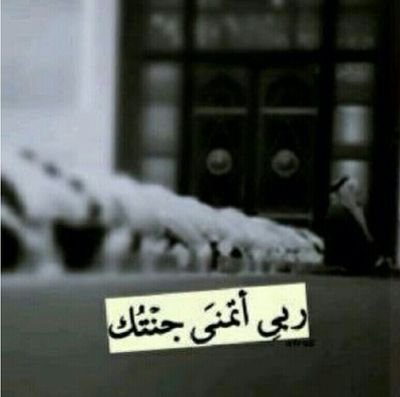 AFoZ_Hack's profile picture. ودي افوز بهاكك