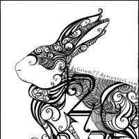 White Rabbit Apparel (@the_w_rabbit) 's Twitter Profile