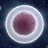 NucleYAAAS's profile image