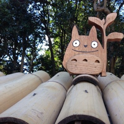 Mozart41ban's profile picture. 