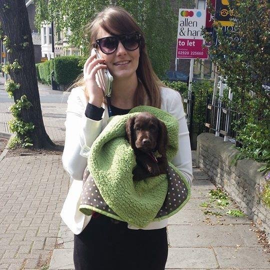 Stirlingcreativ's profile picture. 