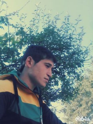 Sizene AMK
