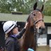 Lucy Wadham (@lucy_wadham) Twitter profile photo Lucy Wadham (@lucy_wadham) Twitter profile photo