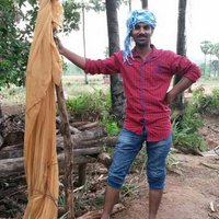 Venkata Praveen (@venkatap26) 's Twitter Profile
