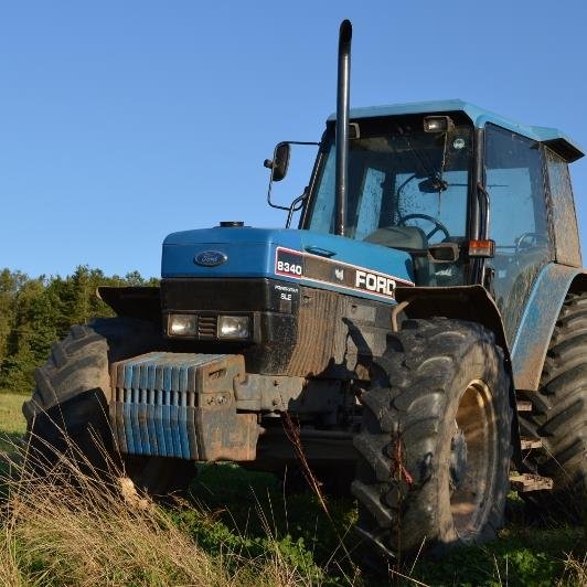 rsault1's profile picture. Farming beef cattle, sheep and growing traditional long straw for craft (corndollies)