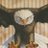 LeadershipJH's profile image