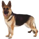 LAURA PALUMBO - @laura_maresca - Twitter