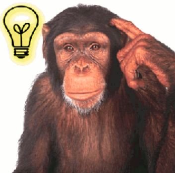 curiosidades-noticias
